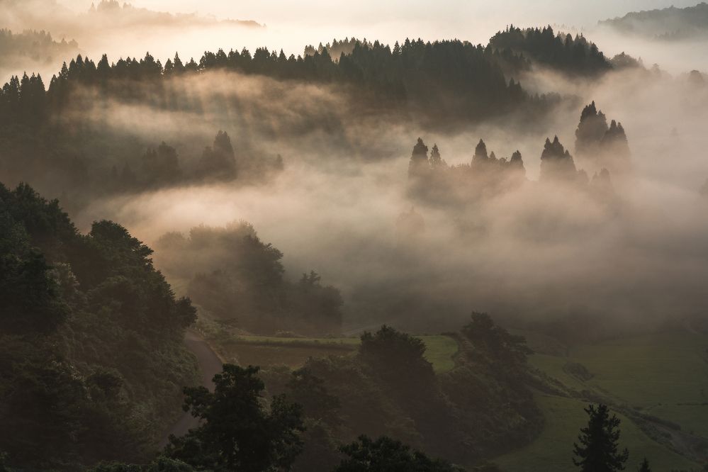 Фотография автора NAGUMO SHUTO