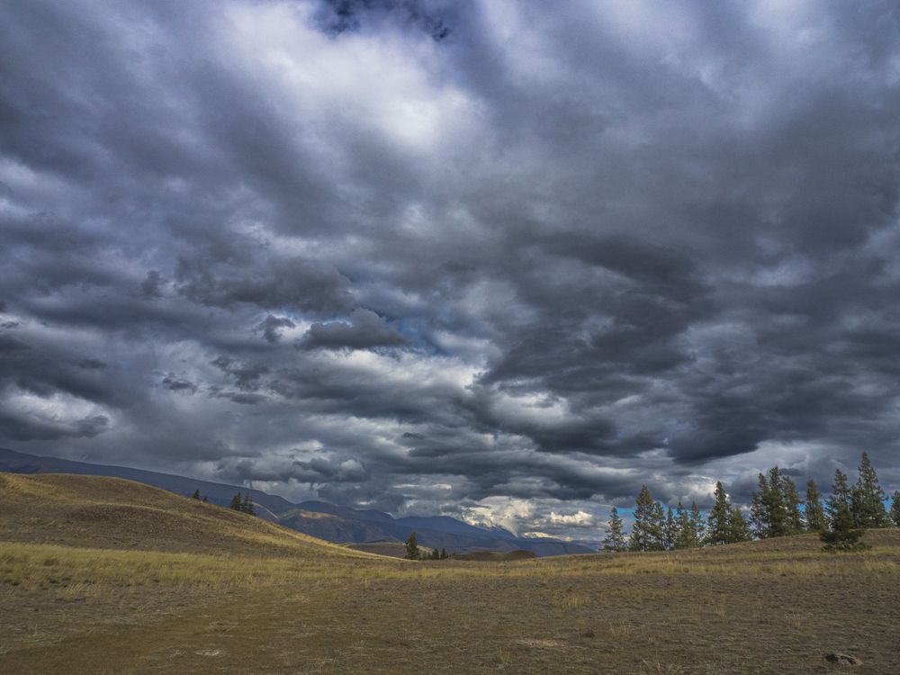 Photograph by Надежда Михайлина