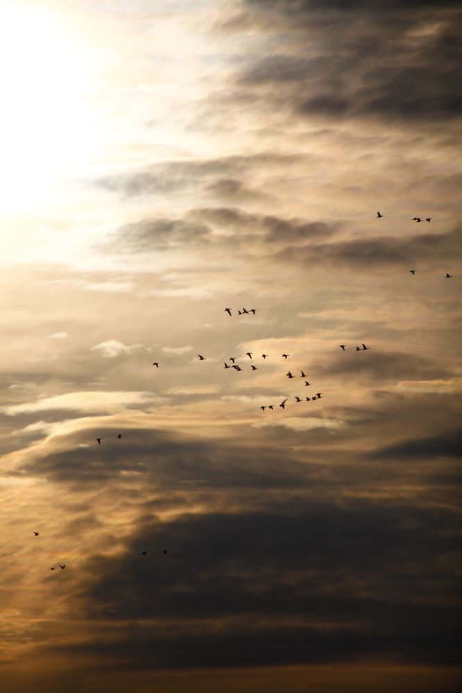 Photograph by Юлия Горчакова