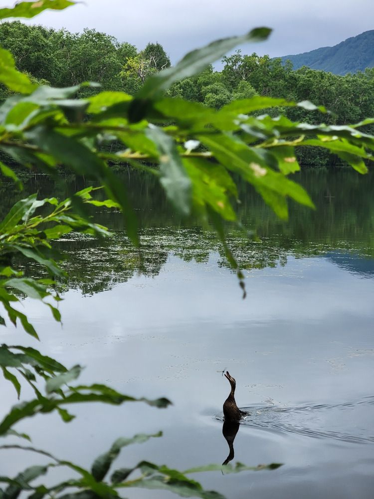 Фотография автора Валентин Науменков