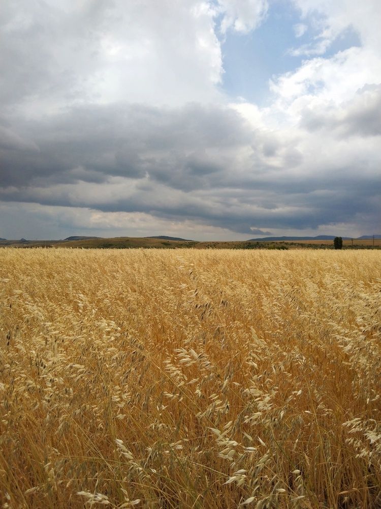 Photograph by Евгений С