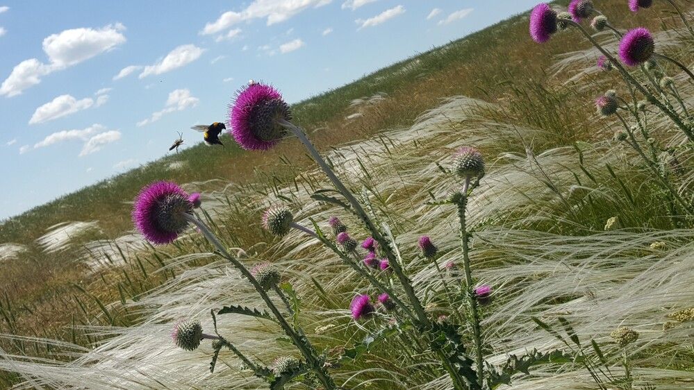 Фотография автора Валентин Науменков