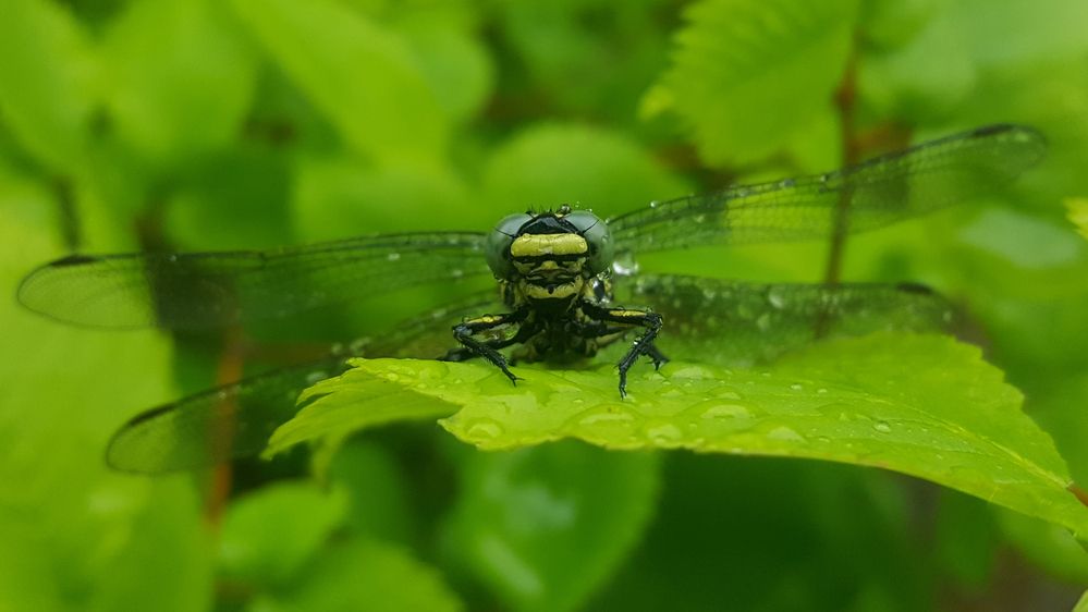Фотография автора Валентин Науменков