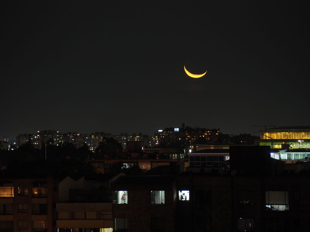 Фотография автора Camilo Rojas