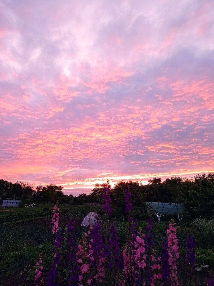 Photograph by Ирина Марченко