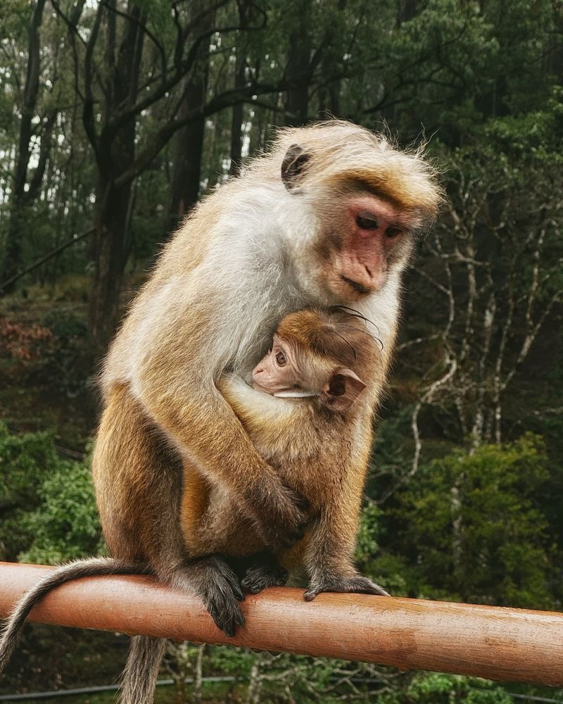 Фотография автора Евгения Никишина