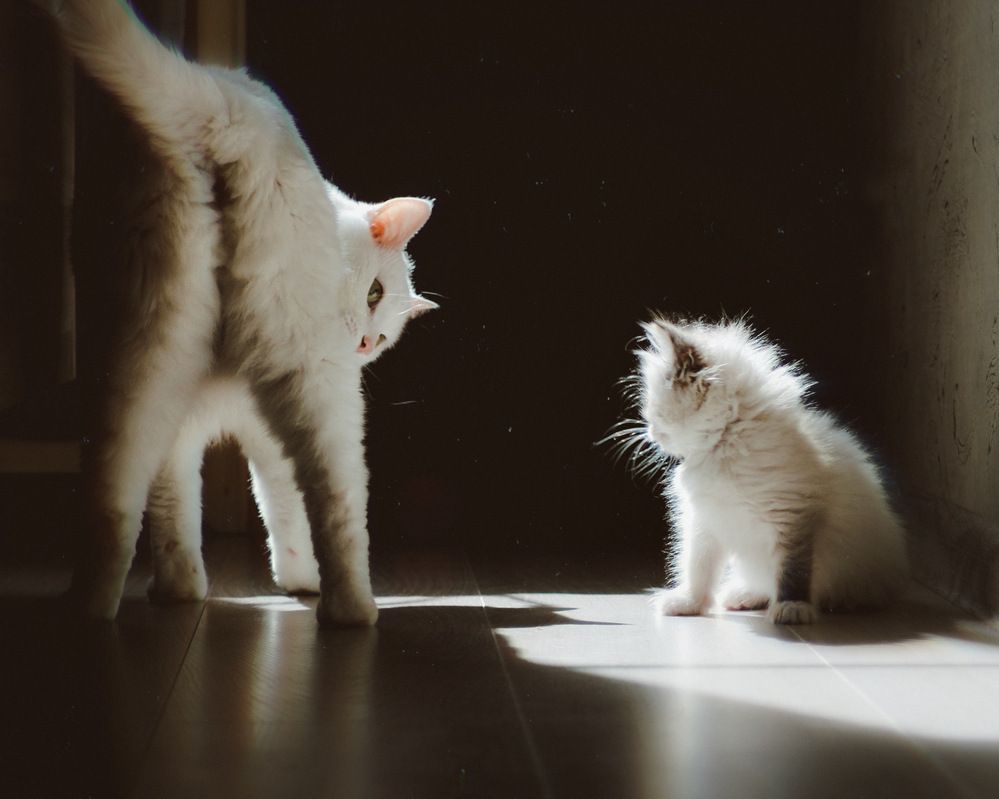 Фотография автора Евгения Никишина