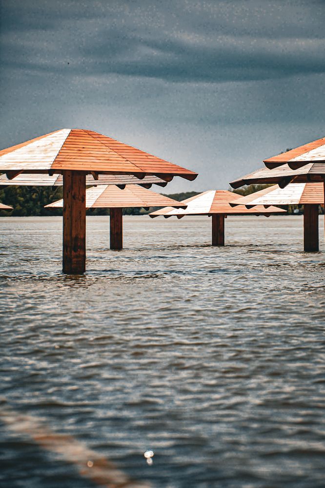 Photograph by Ольга Андронова