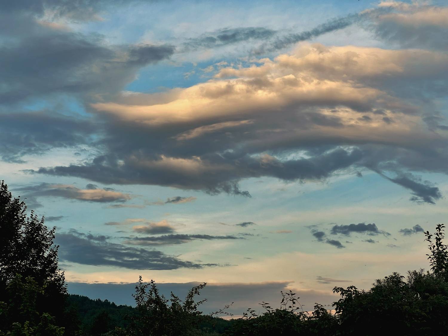 Photo #12520650