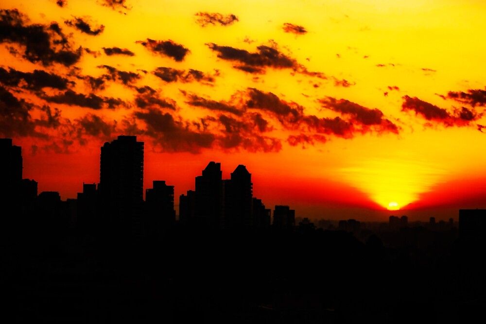 Photograph by Carmem De Luca