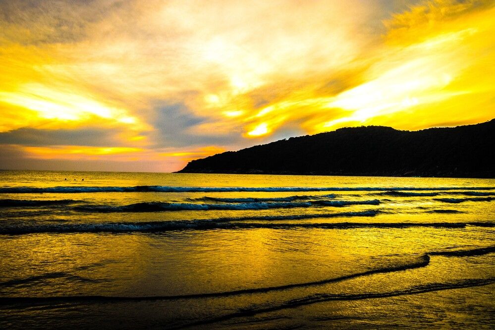 Photograph by Carmem De Luca