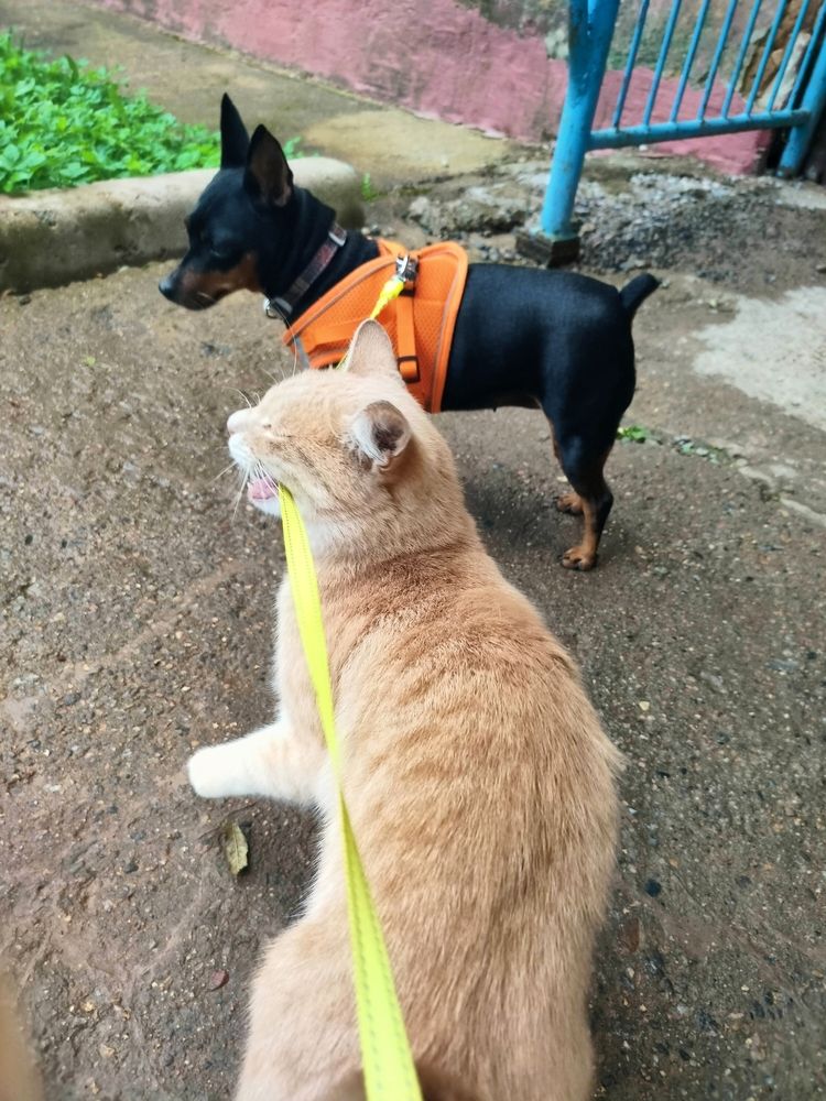 Photograph by Людмила Ваганова