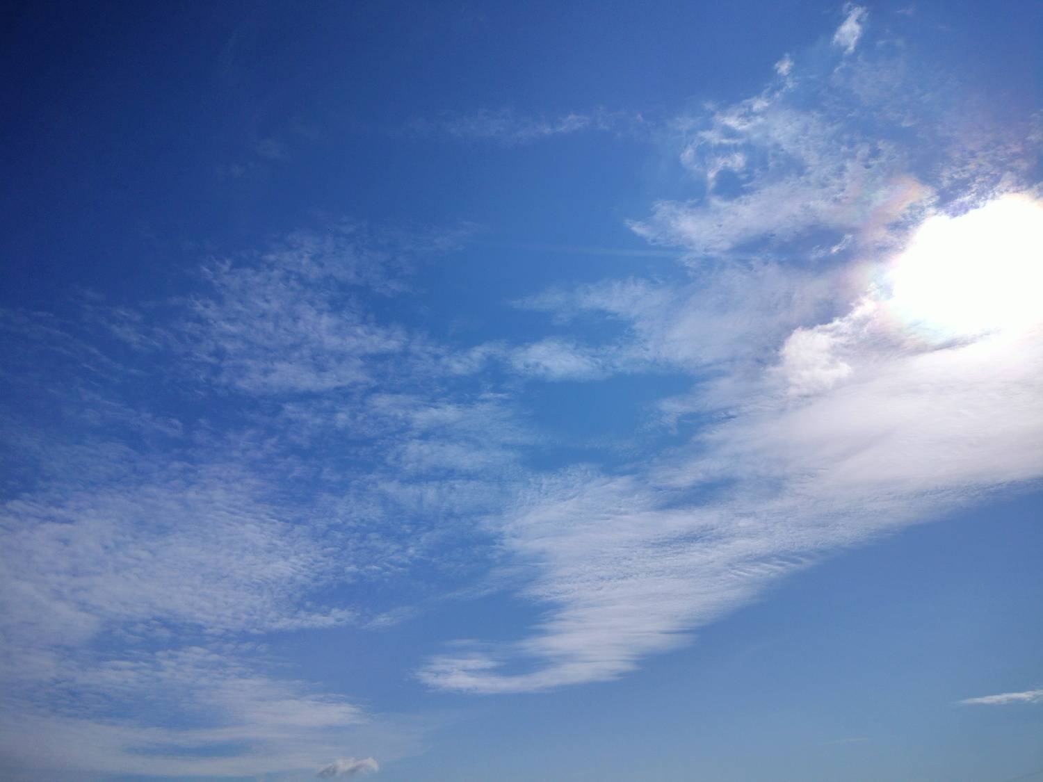 Photo #12520699