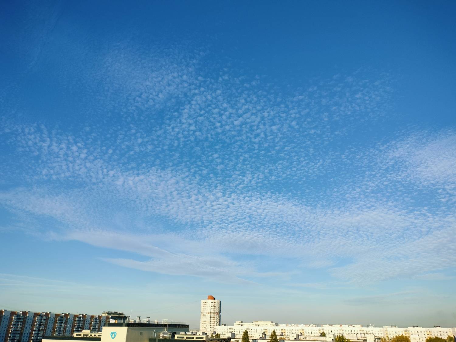 Photo #12520701