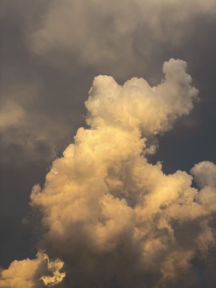 Фотография автора Юлия Максимова