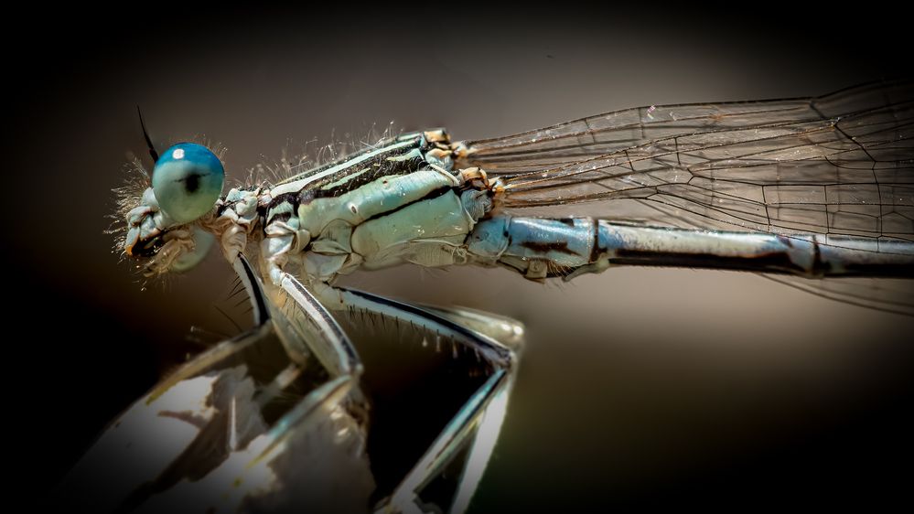 Photograph by Andrea Barlotti