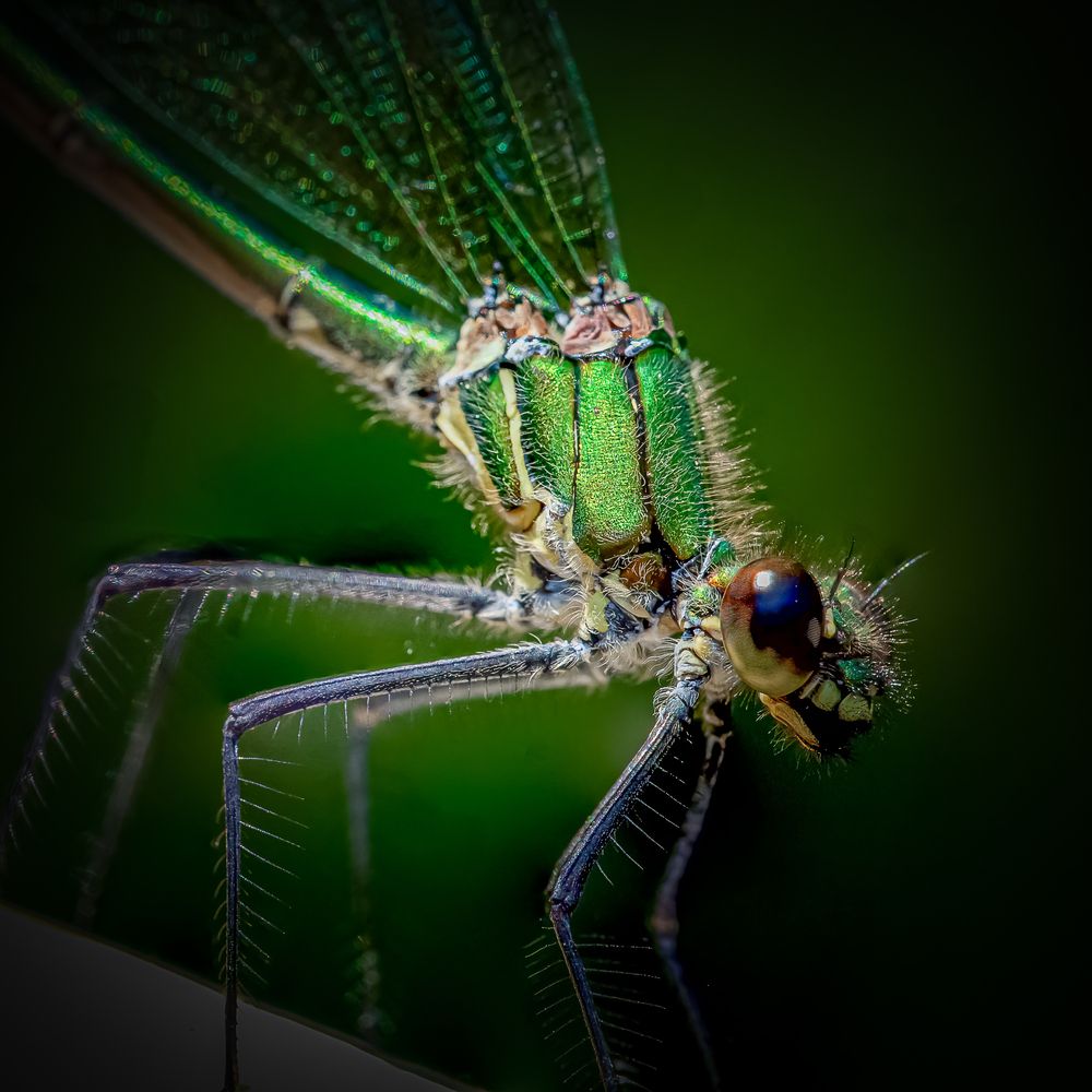 Photograph by Andrea Barlotti