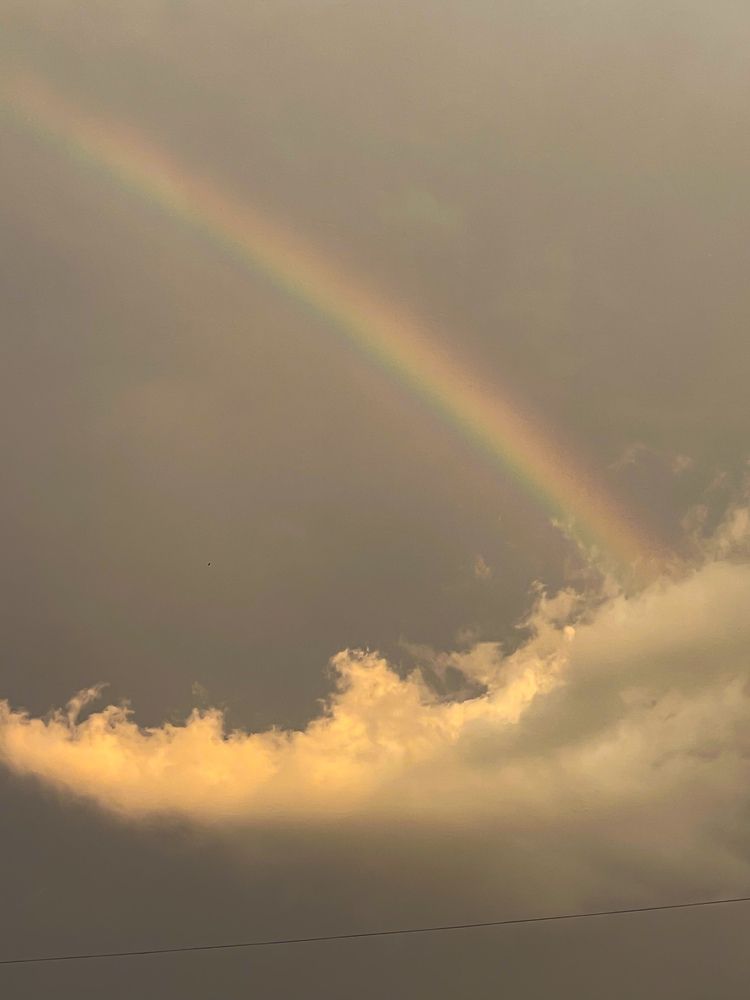 Фотография автора Юлия Максимова