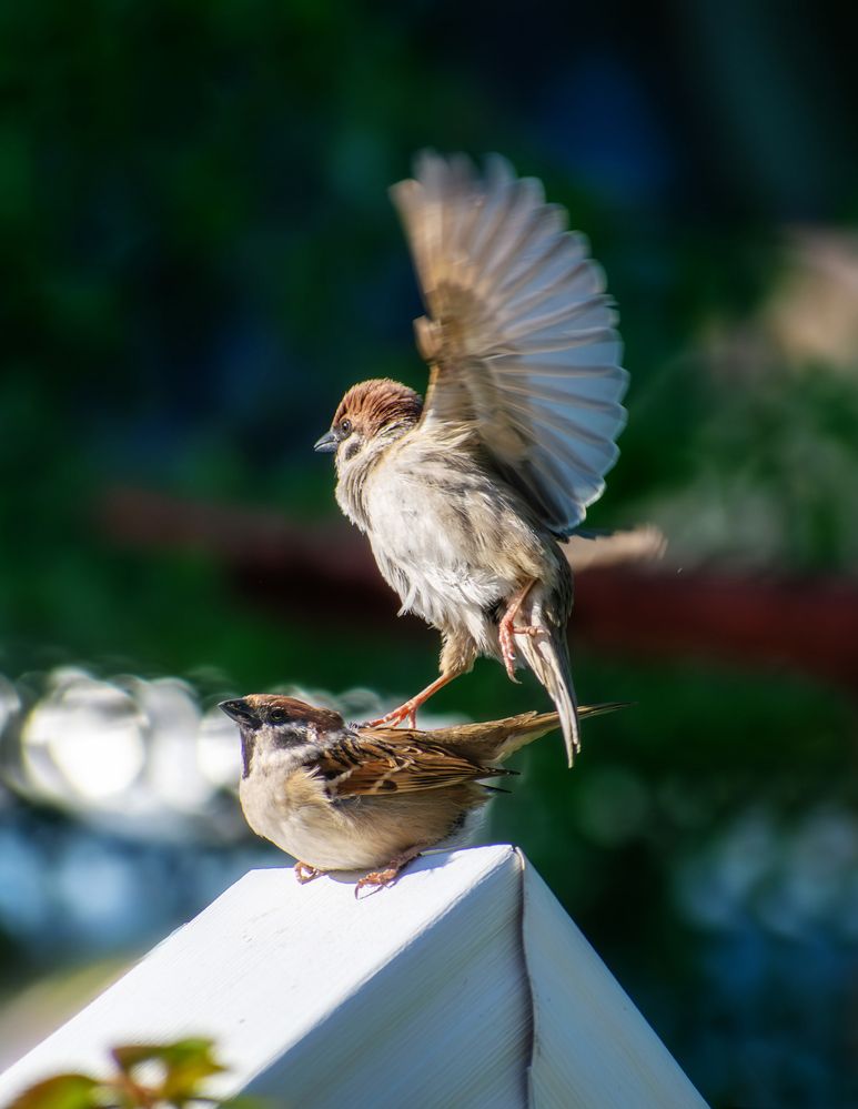 Photograph by Margarita