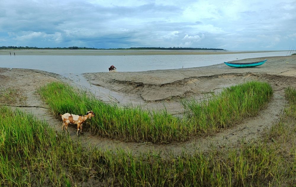 Echoes of the Riverbank