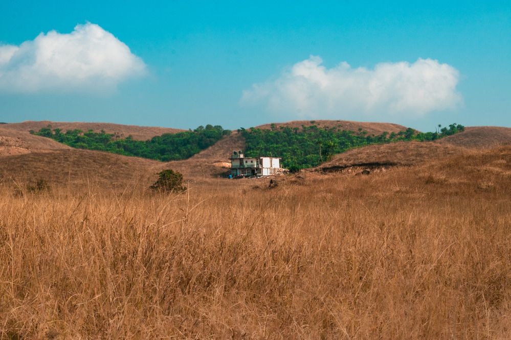 Solitude in the Hills