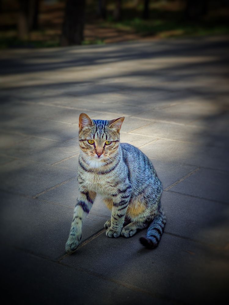 Photograph by Олега Тор