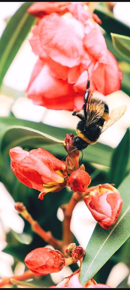 Photograph by Ирада Кузло