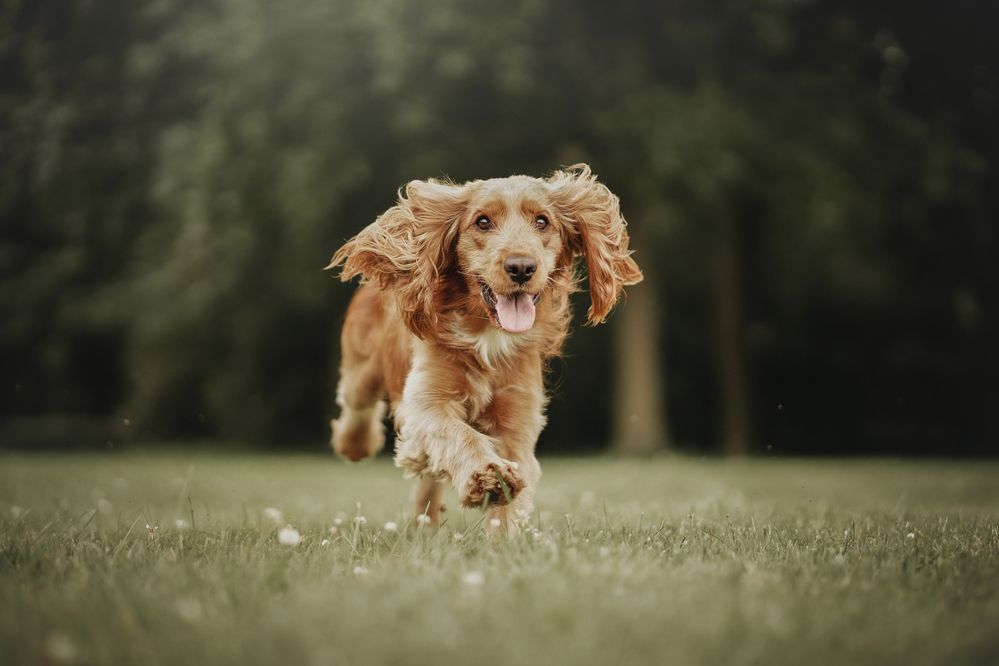 Photograph by Александра Пугачёва