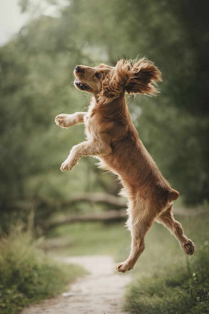 Photograph by Александра Пугачёва