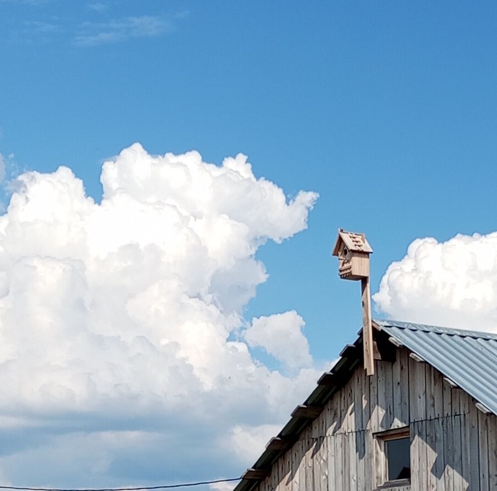 Photograph by Татьяна Кунц