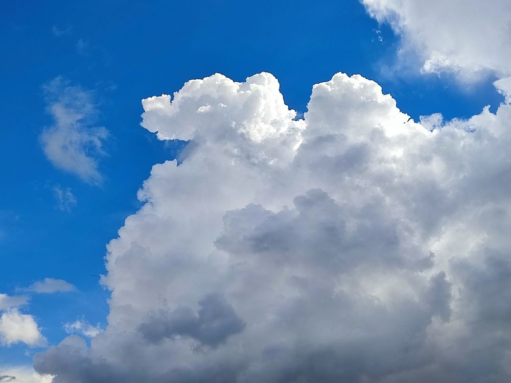 Фотография автора Татьяна Петренко