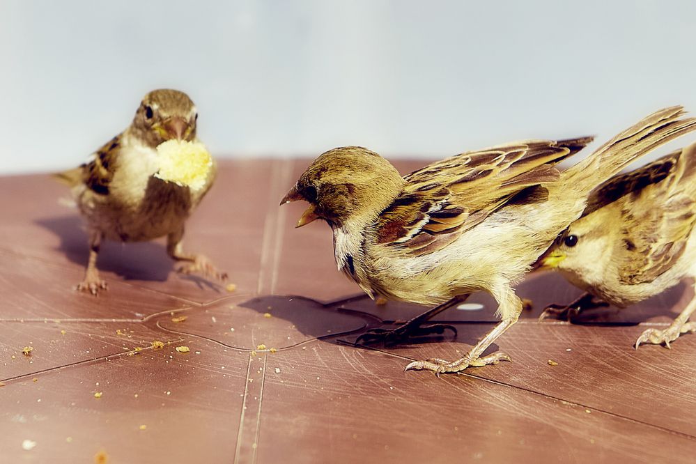 Photograph by Николай Голованов