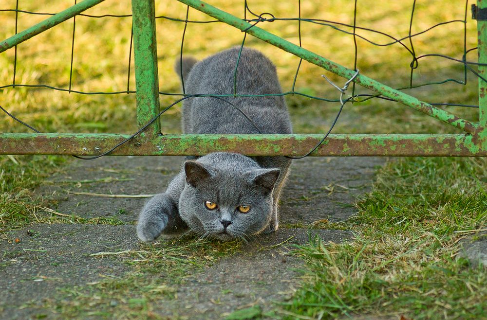 Photograph by Виктория Уварова