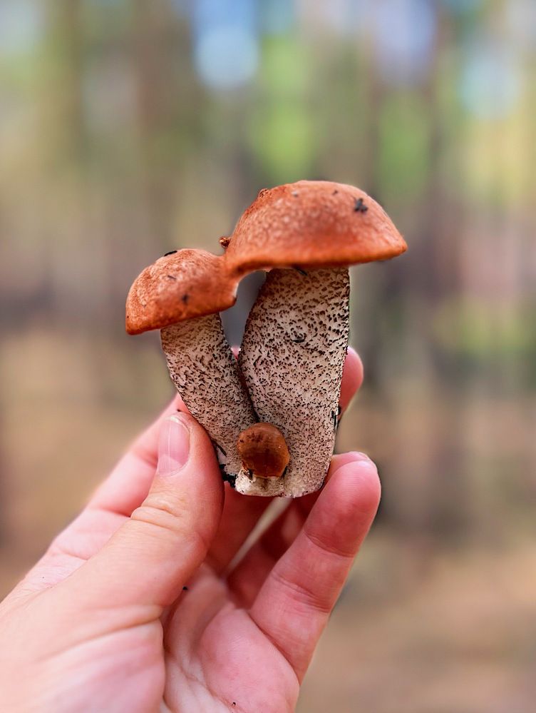 Photograph by Татьяна Волохова