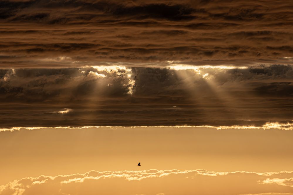 Photograph by Юлия Куликова