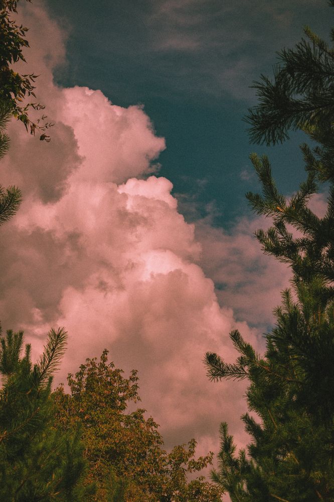 Photograph by Kanat Amre