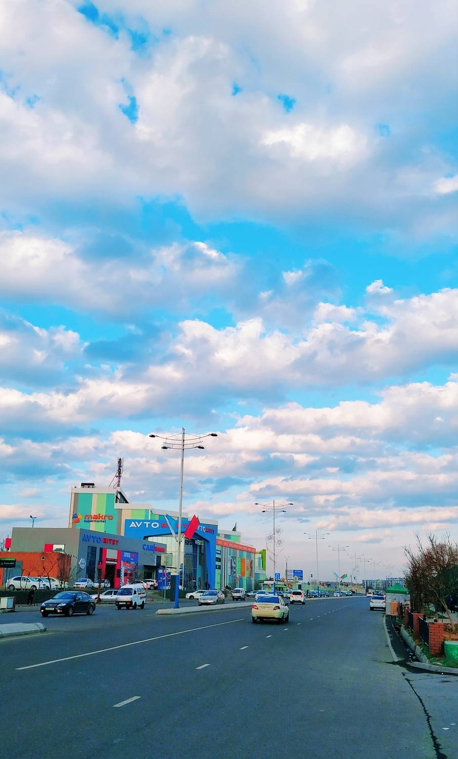Photo #12521462