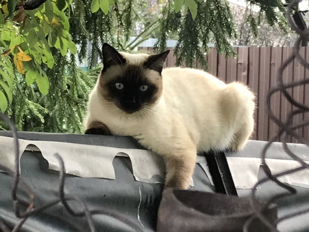 А вы что здесь делаете?!