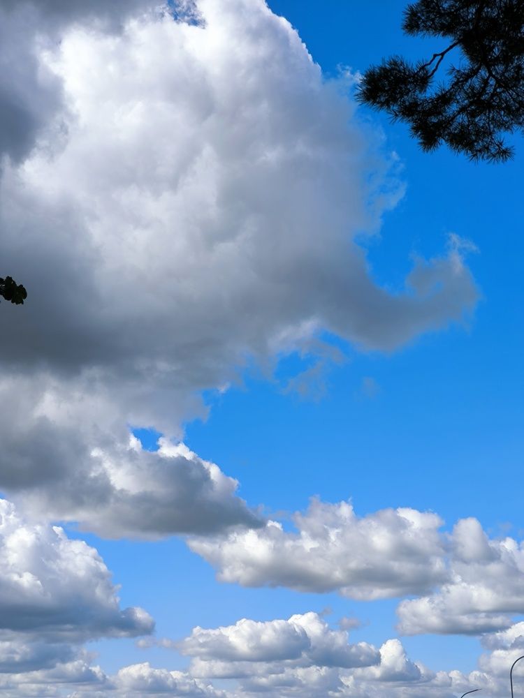 Photograph by Татьяна Яцкевич