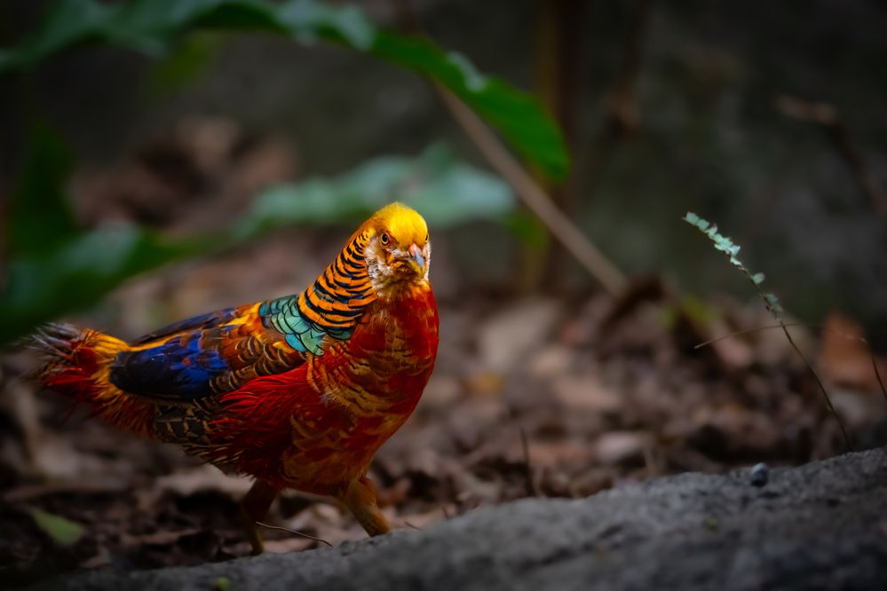 Photograph by Николай Фонарёв