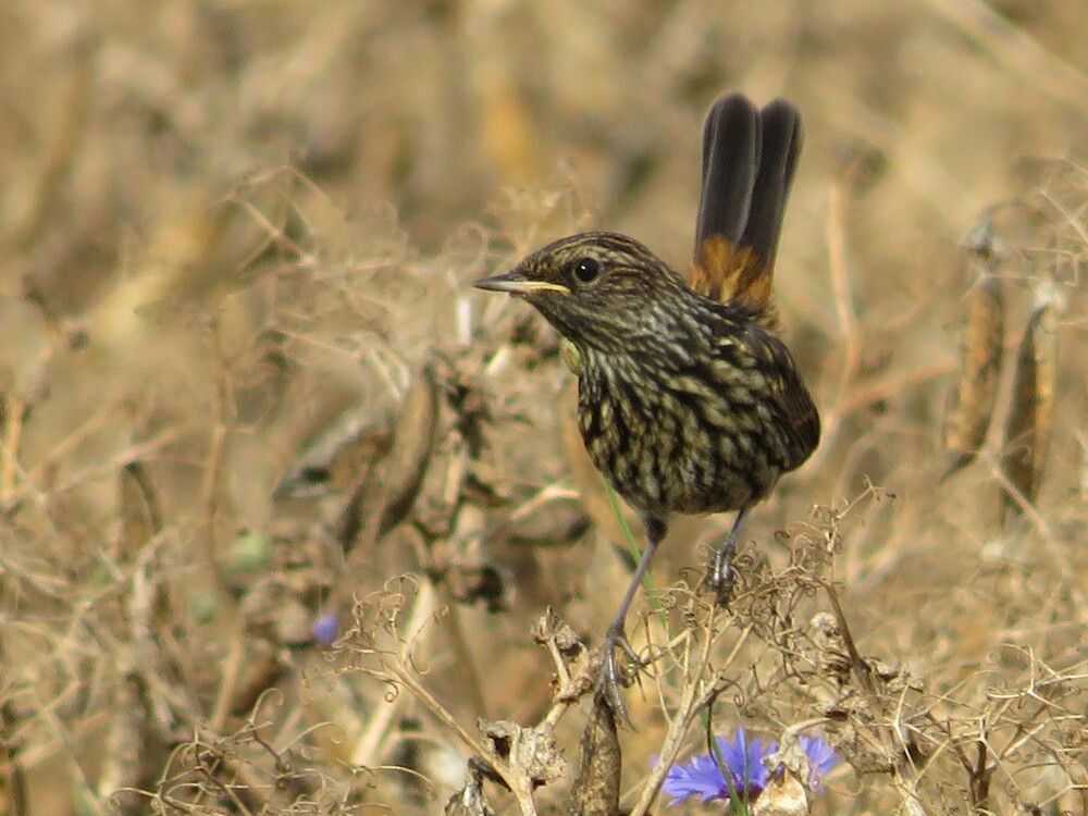 Photograph by Елена Кузина