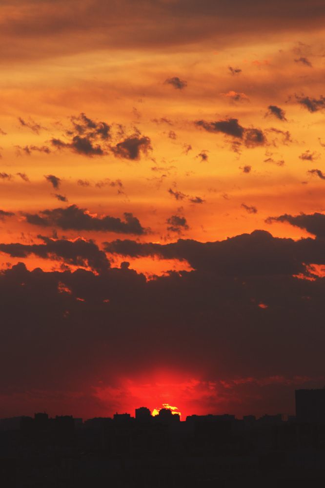 Photograph by Полина Овчинникова