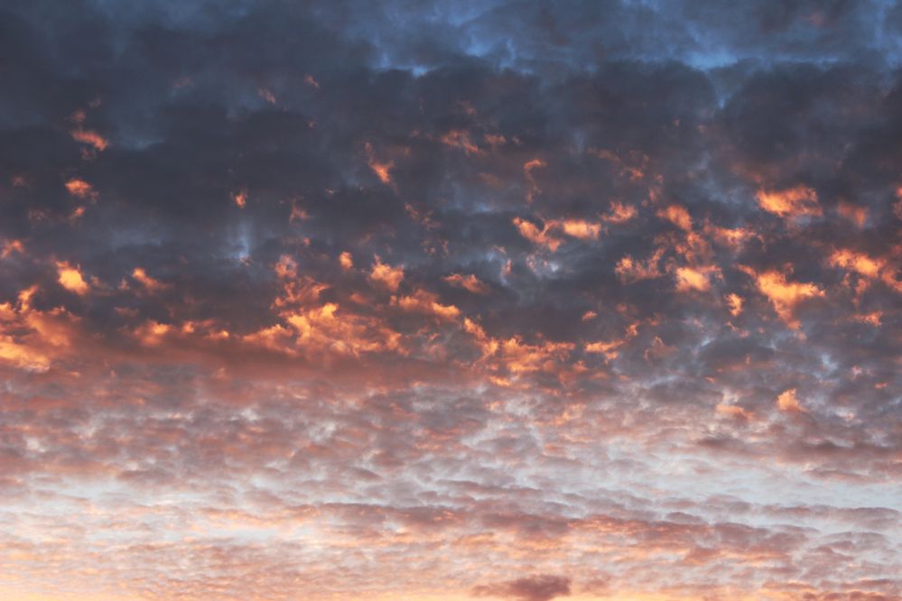 Photograph by Полина Овчинникова