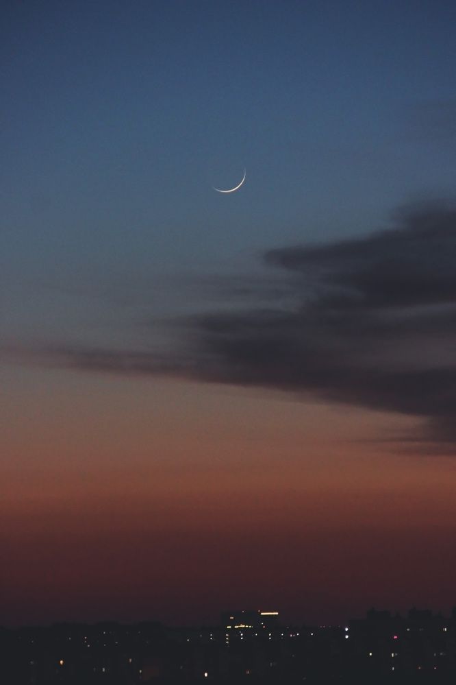 Photograph by Полина Овчинникова