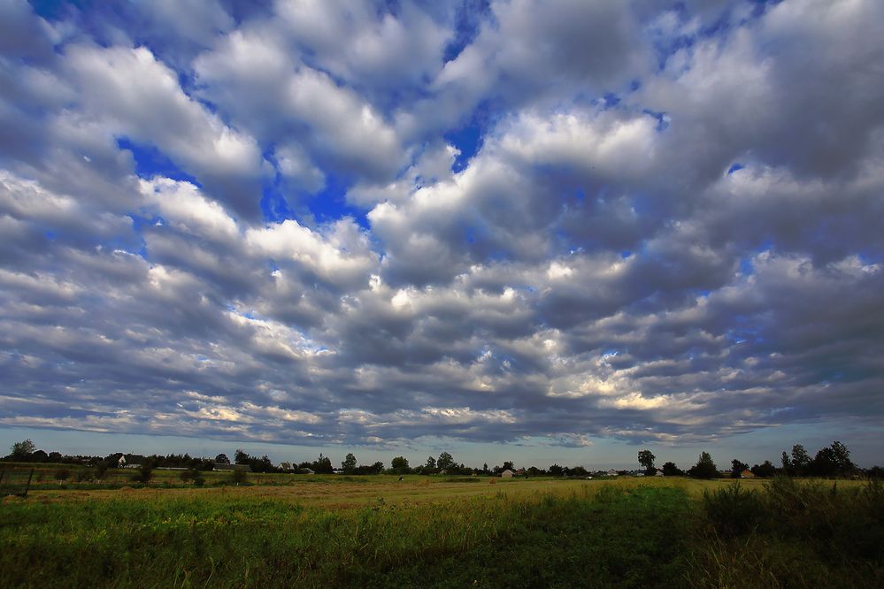 Photograph by Николай Протасеня