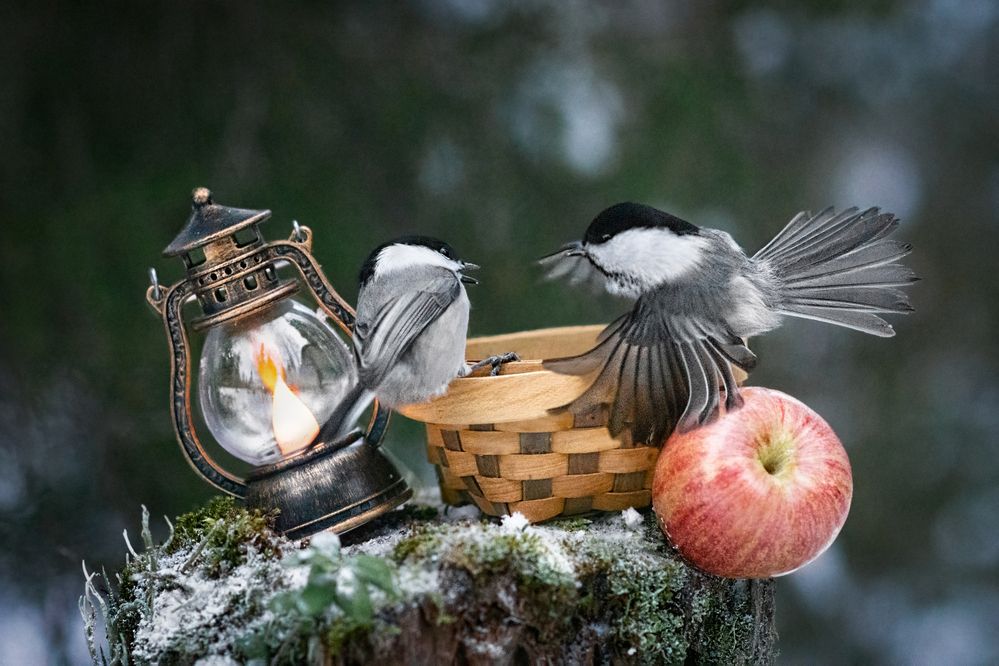 Photograph by Olga Akhmetova