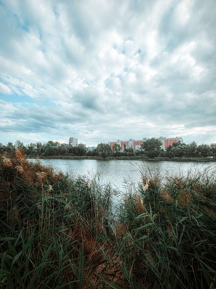 Photograph by Светлана Прокофьева