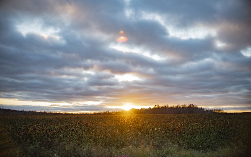 Photograph by Павел Соснин