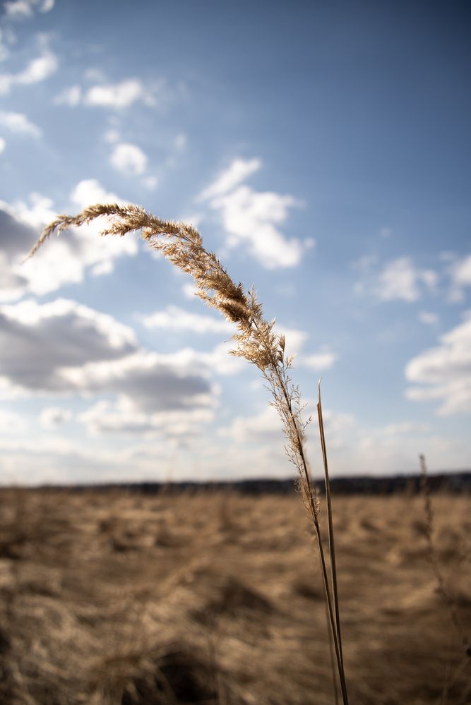 Photograph by Павел Соснин