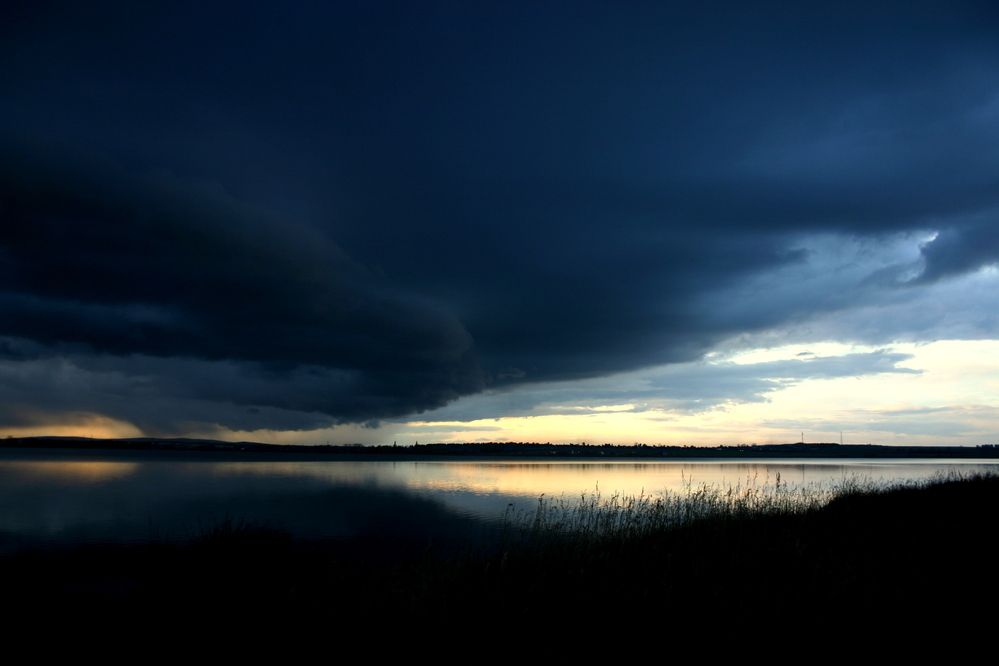 Фотография автора Nelya  Lysenko